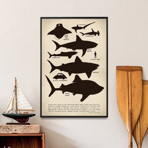 Haie Silhouetten Vintage Chart Print | Fisch Illustration Poster | Nautische Wand Kunst Home Geschenk