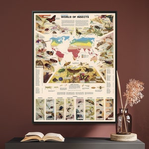 Bug Life: World of Insects - Vintage Bildkarte & Landkarte Print