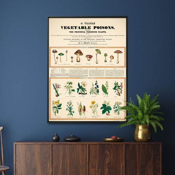 Poisonous Mushrooms & Plants Vintage Chart Print| Plants Large Poster| Herbalist Wall Art Gift