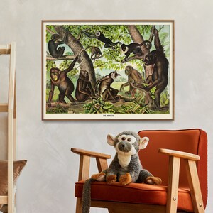 May include: Vintage illustration of monkeys in a tree, with the title "The Monkeys" at the bottom. The illustration is framed and hanging on a wall in a room with a wooden chair and a rug.