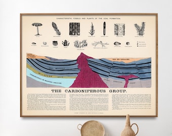 Geological Stratification Vintage Diagram Print| Geology Cross Section Poster| Geologist Wall Art Gift