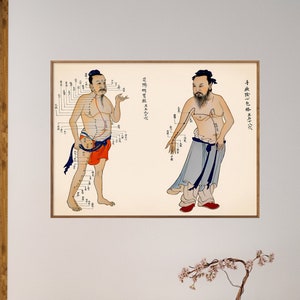 Grafiek acupunctuurpunten en meridianen, acupunctuur kunst aan de muur kantoor, perfect acupunctuurcadeau