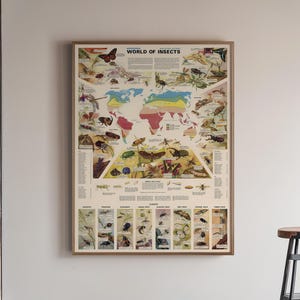 Bug Life: il mondo degli insetti - Stampa di mappe e grafici d'epoca