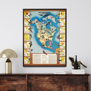 Vögel Nordamerikas: Vogelzug - Vintage Map Print, Wandkunst Geschenk
