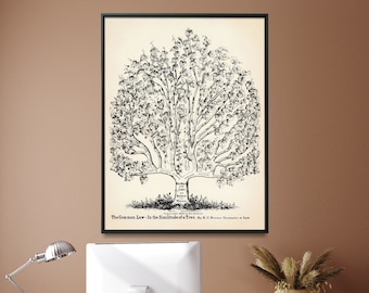 Law Poster| Law Tree Print| Lawyer Office Art| Attorney Gift| Vintage Law Wall Art