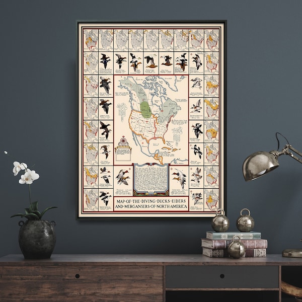 North America Diving Ducks, Eiders & Mergansers Vintage Map Print| Hunter Map Poster| Hunting Wall Art Home Gift