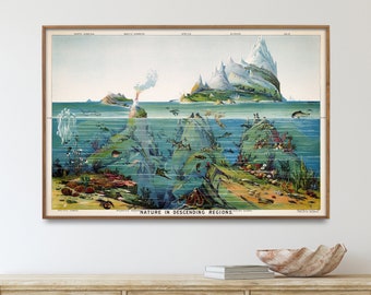 Nature in Descending Regions| Vintage Marine Life Poster Print| Natural Science Wall Art| Home & Classroom Gift