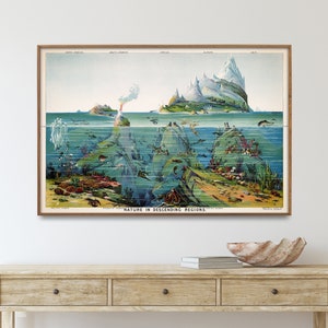 Natuur in dalende regio's| Vintage poster print zeeleven | Natuurwetenschappelijke kunst aan de muur| Cadeau voor thuis en in de klas