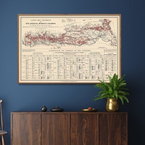 Weinkarte von Beaujolais, Maconnais und Chalonnais, Bourgogne Weinkarte, Frankreich Weinregion Druck, Essen französische Wandkunst