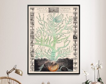 May include: A framed vintage print titled "Tableau de la Mythologie" featuring a detailed illustration of a tree-like diagram with text in French. The artwork has a black frame and is displayed on a white wall.
