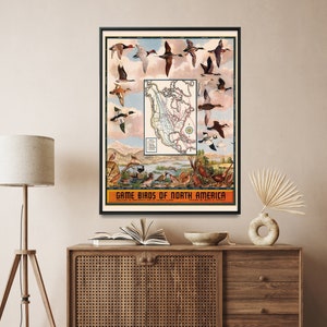 Nordamerika Spiel Vögel Vintage Karte Druck, Jäger Karte Poster, Jagd Wand Kunst Haus Geschenk
