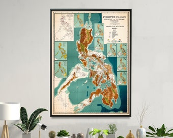 May include: A vintage map of the Philippine Islands, showing the provinces and their boundaries. The map is printed on paper and framed in black. The map is surrounded by plants and furniture in a home setting.