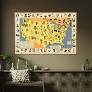Heilpflanzen der USA - Vintage Karte, Kunstdruck, Poster Kunstdruck, Kunstdruck