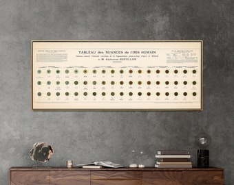 Eye Colour Vintage Chart Print| Vision & Optometry Poster| Ophthalmology Wall Art Gift