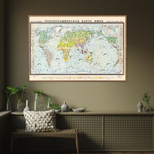 May include: A vintage zoogeographic map of the world with a light blue background and colorful regions. The map is framed in a light brown frame and hanging on a light brown wall. The map is titled "ЗООГЕОГРАФИЧЕСКАЯ КАРТА МИРА" in Russian.
