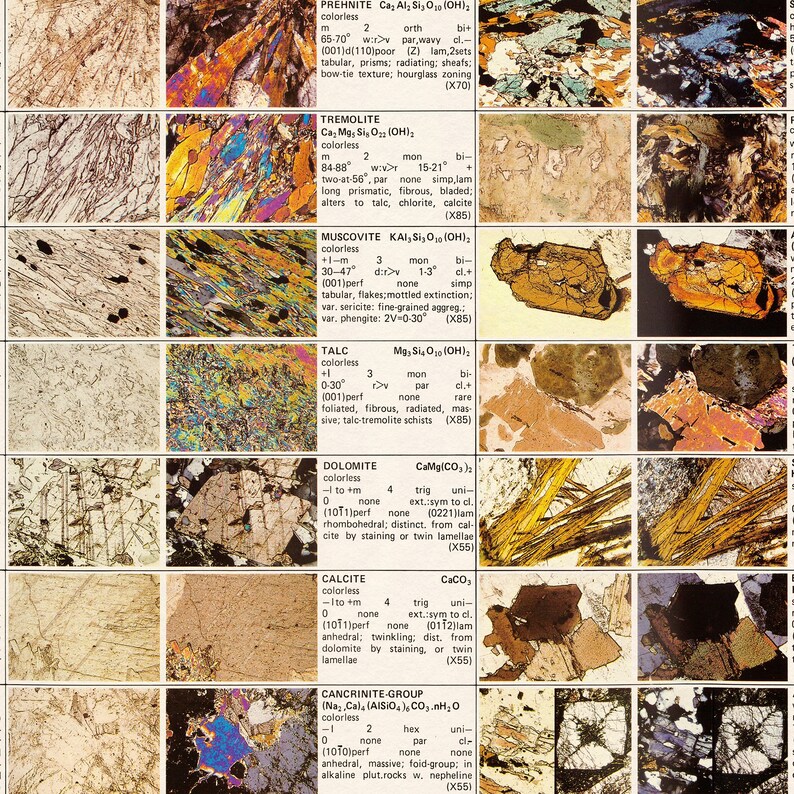 Mineral and Rock Vintage Chart Print Geology Long &amp; Narrow - Etsy