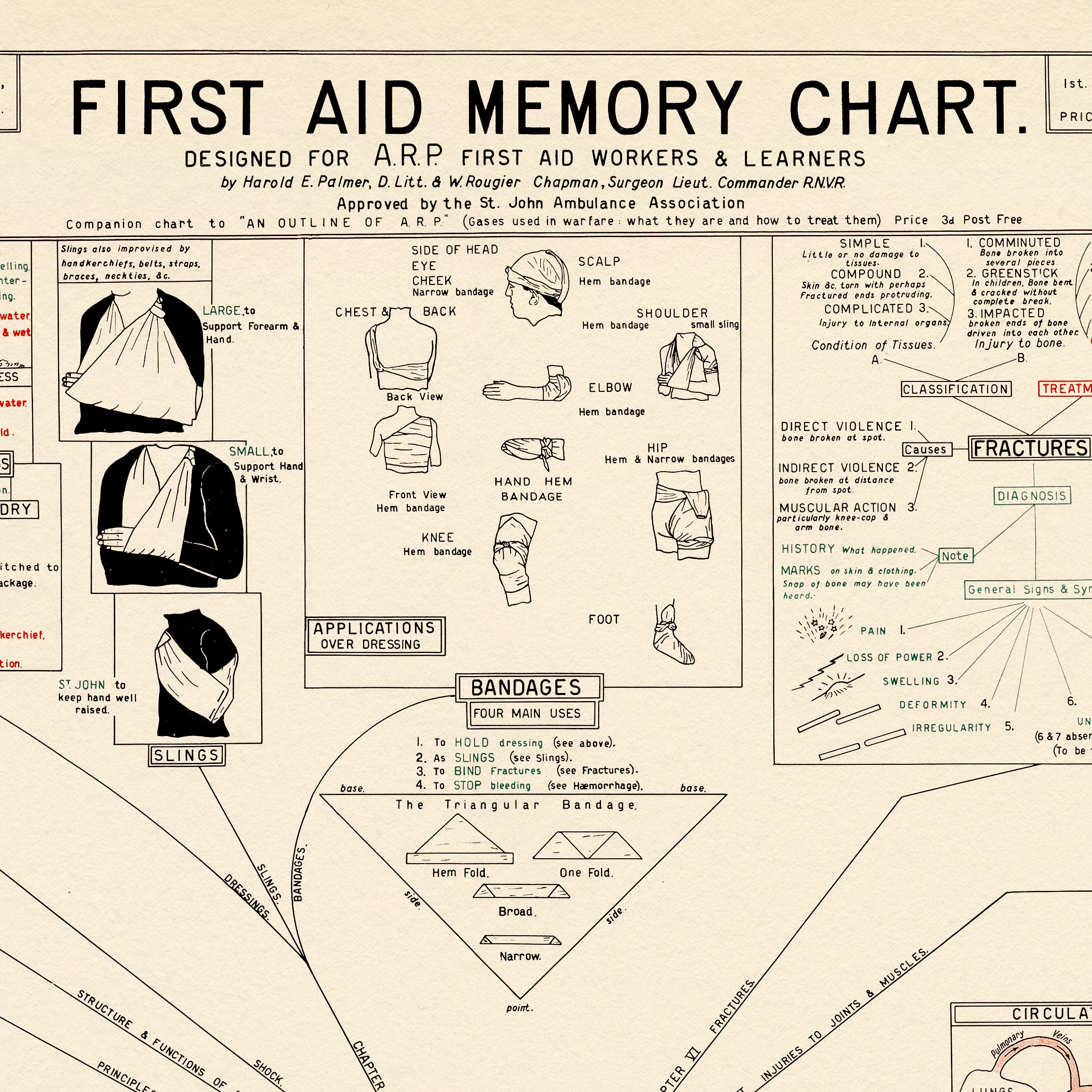 Vintage First Aid Memory Chart Doctor's Office Wall Art Etsy