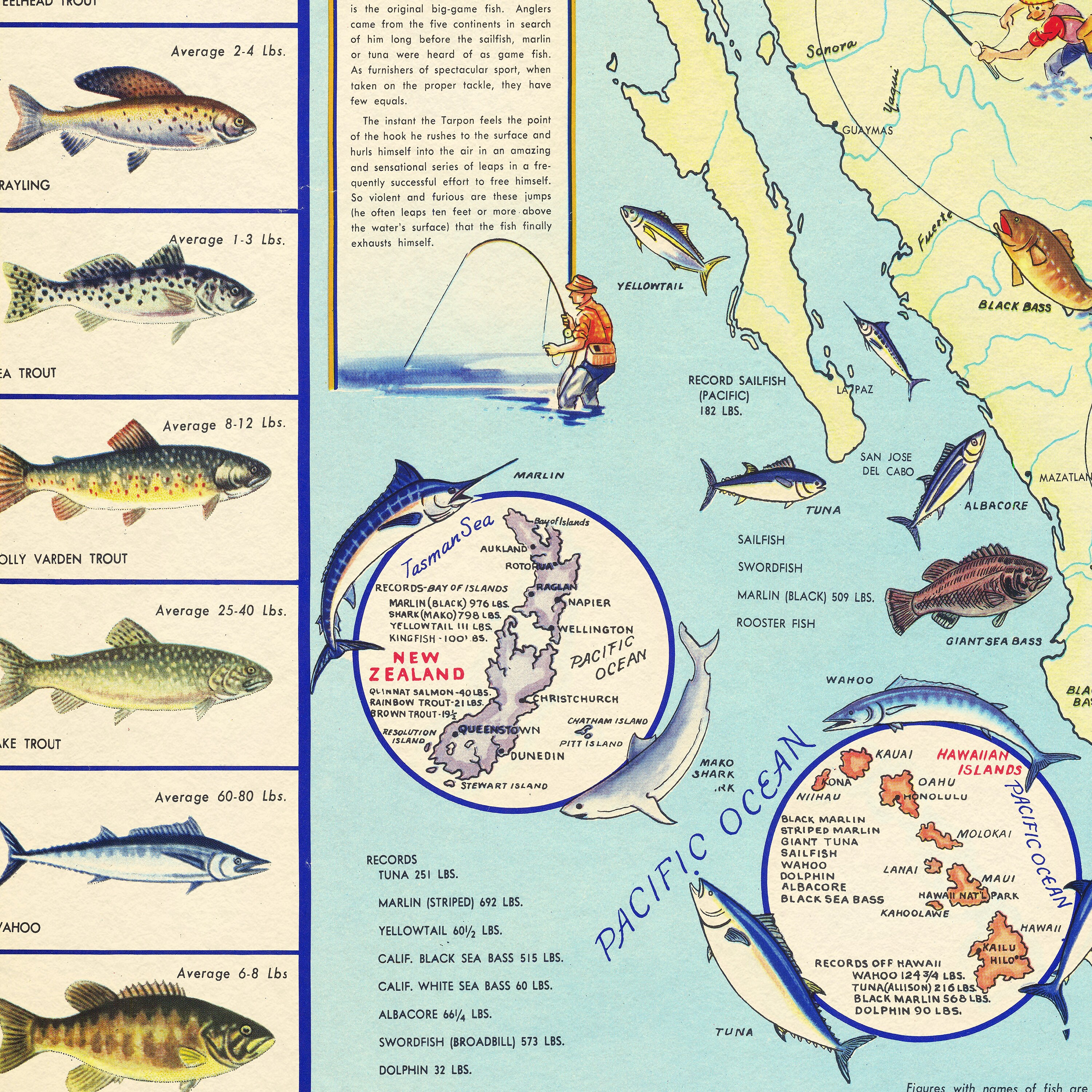 American Fish: Angler's Guide - Vintage Pictorial Fishing Map Print ...