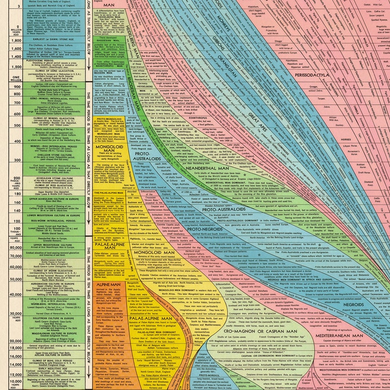 Histomap of Evolution Vintage Chart Print Tall & Narrow Timeline Poster Knowledge Wall Art Home Gift image 8