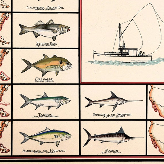 Vintage Fishing Map of North America Fishing Gifts for Men Fish Art Decor  Salt Water Fish Map 