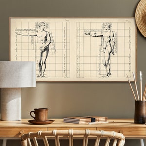 Studio delle proporzioni del corpo umano/Stampa di illustrazione vintage/Arte murale da regalare alla casa