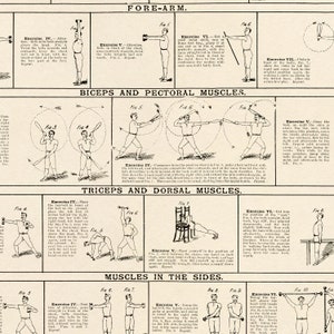 May include: A vintage illustration of various exercises for different muscle groups, including the forearms, biceps, pectoral muscles, triceps, dorsal muscles, and muscles in the sides. The illustrations show people using dumbbells, a baseball bat, a stick, and a chair to perform the exercises.