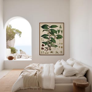 Groene theeplant - vintage illustratie print, keuken, eetkamer decor, muurkunst cadeau voor thuis afbeelding 7
