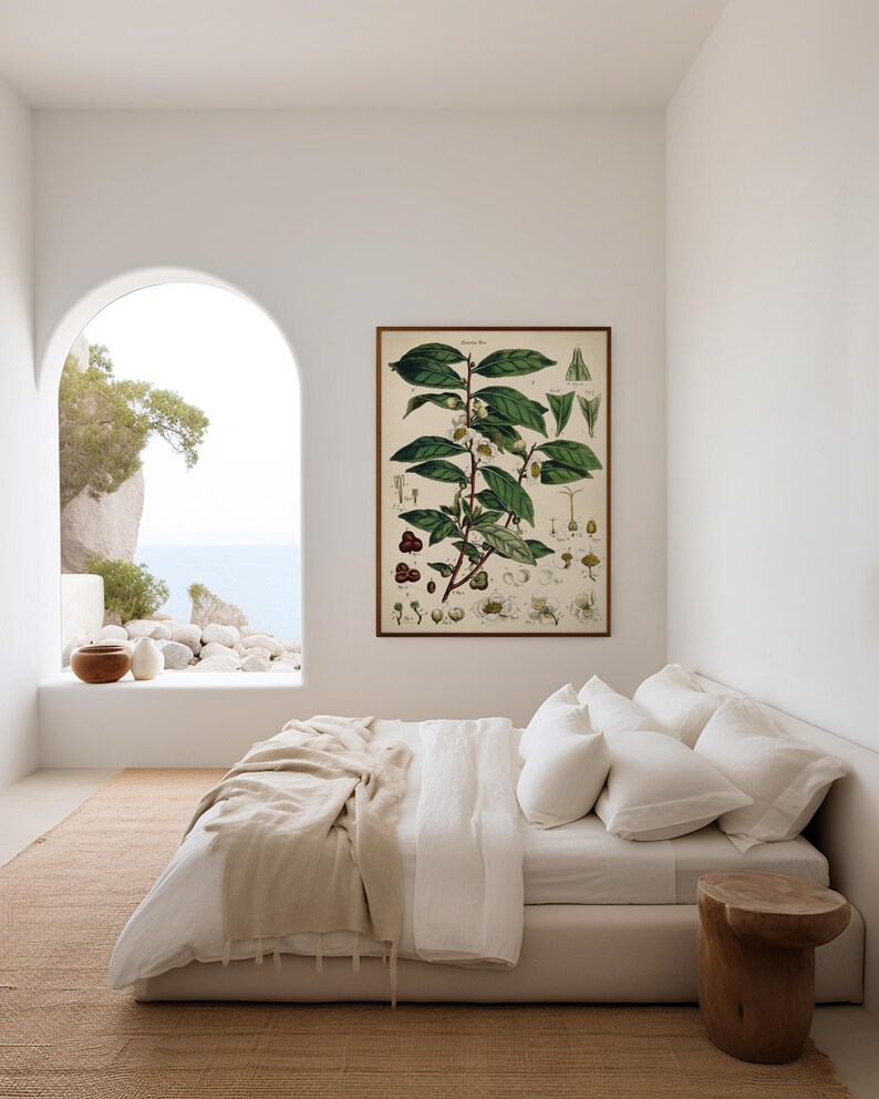 Groene theeplant - vintage illustratie print, keuken, eetkamer decor, muurkunst cadeau voor thuis afbeelding 7