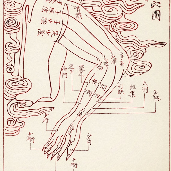 Chinese Medicine Acupuncture Chart