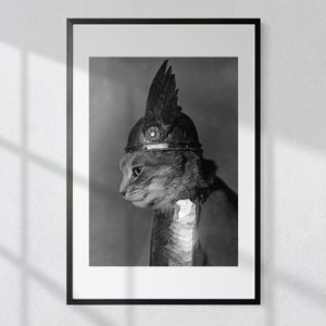 Impression chat viking : art mural guerrier amusant