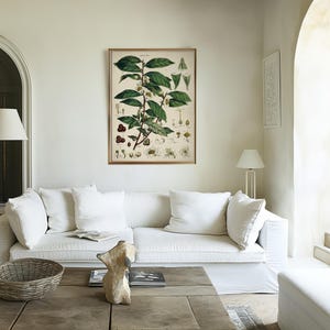 Groene theeplant - vintage illustratie print, keuken, eetkamer decor, muurkunst cadeau voor thuis afbeelding 2