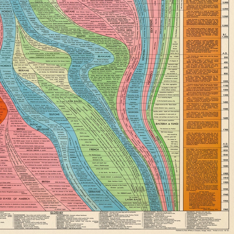 Histomap of Evolution Vintage Chart Print Tall & Narrow Timeline Poster Knowledge Wall Art Home Gift image 9