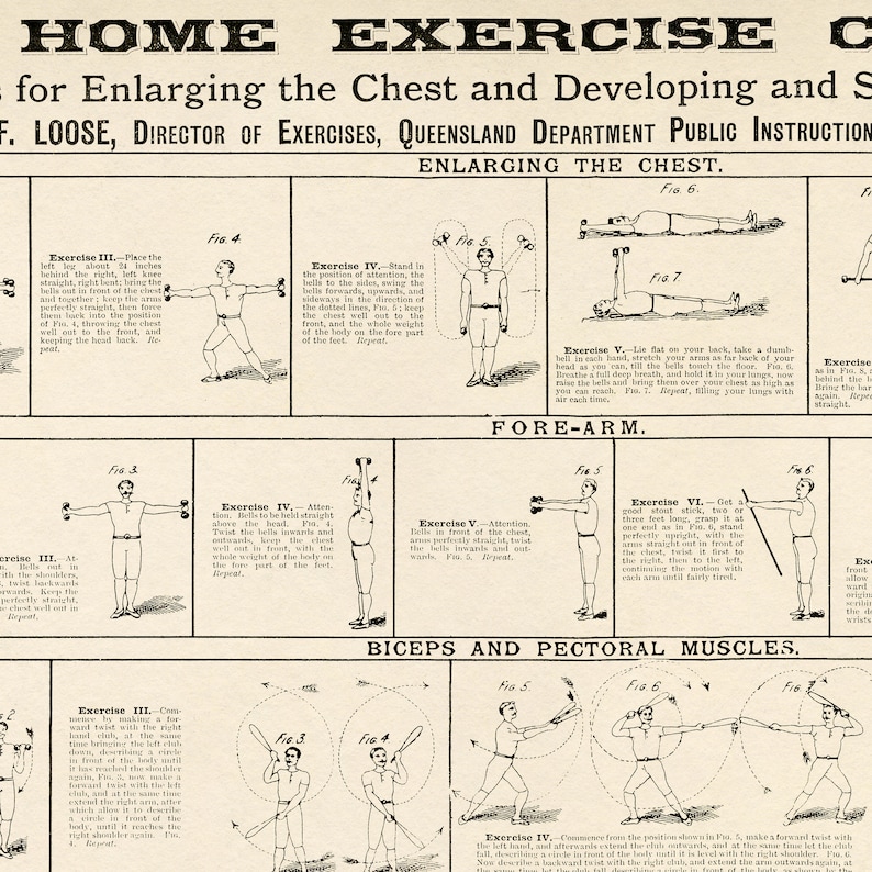 May include: A black and white illustration of a series of exercises for enlarging the chest and developing the shoulders. The illustrations show a person performing each exercise with dumbbells, a stick, and a baseball bat. The text includes the title "Home Exercise" and the name "F. Loose, Director of Exercises, Queensland Department Public Instruction".