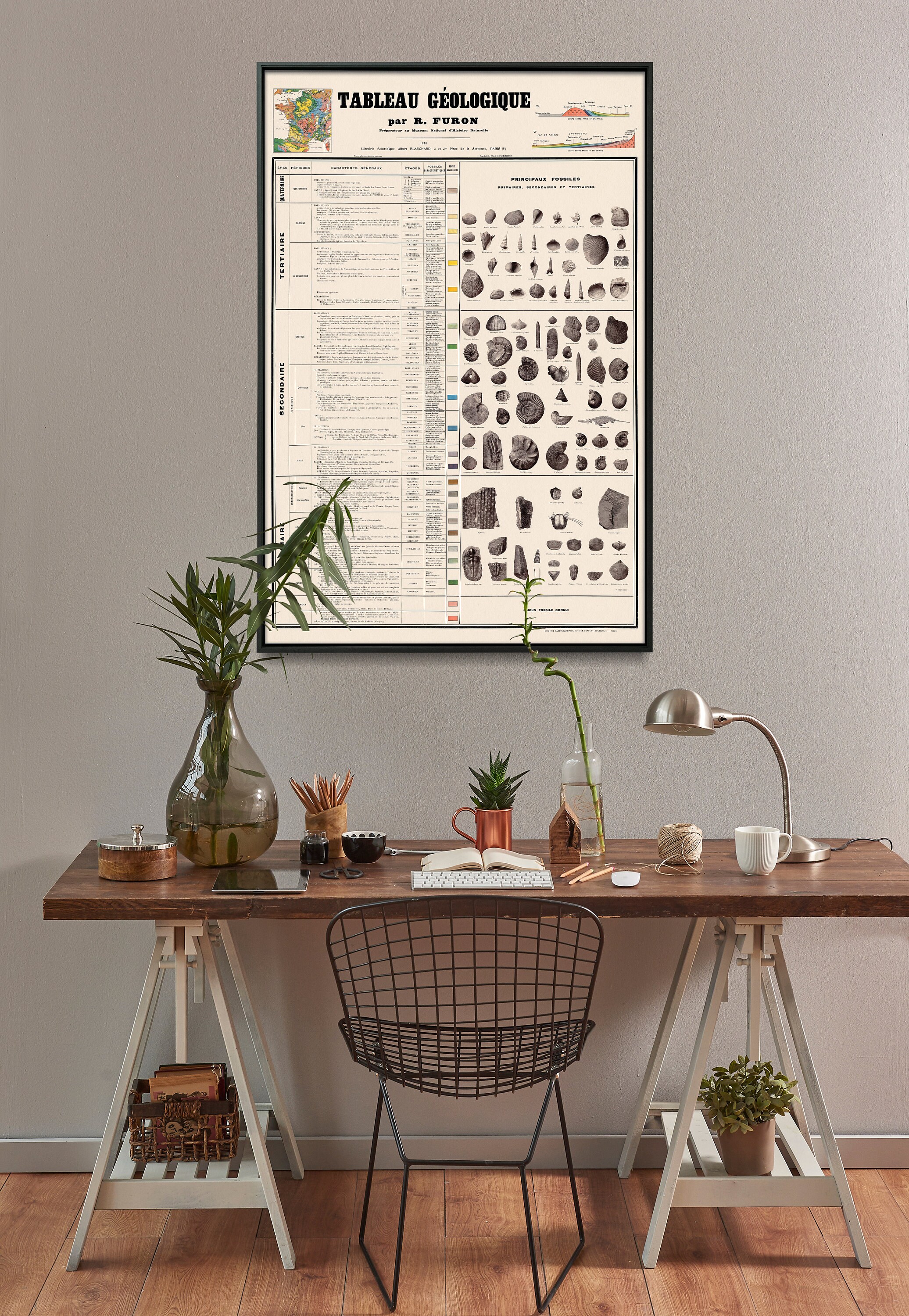 Geological Vintage Chart Print Geology & Fossils Timeline | Etsy