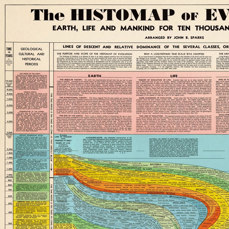 Histomap of Evolution Vintage Chart Print Tall & Narrow Timeline Poster Knowledge Wall Art Home Gift image 6