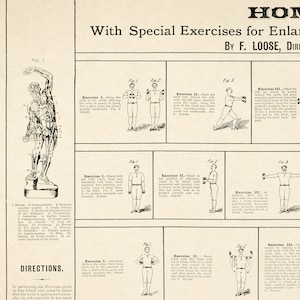 May include: A vintage illustration of a man performing exercises with dumbbells. The illustration shows different poses and positions for each exercise, with numbered muscle groups labeled on the first image. The text "With Special Exercises for Enlarging the Chest, Shoulders, Arms, and Legs" is at the top of the page, with the text "By F. Loose, Director" below it.