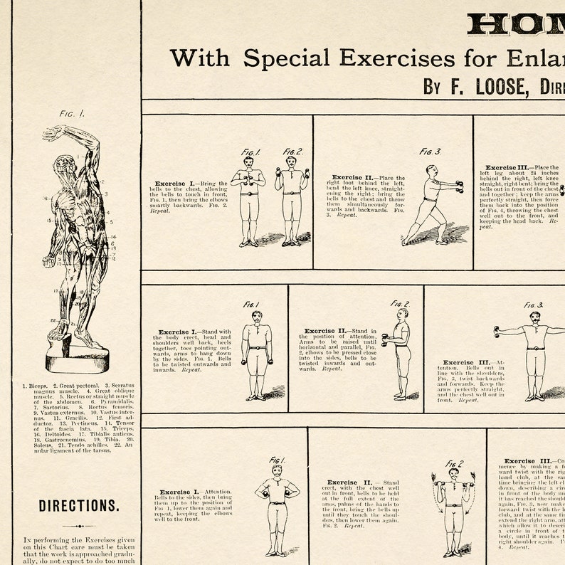 May include: A vintage illustration of a man performing exercises with dumbbells. The illustration shows different poses and positions for each exercise, with numbered muscle groups labeled on the first image. The text "With Special Exercises for Enlarging the Chest, Shoulders, Arms, and Legs" is at the top of the page, with the text "By F. Loose, Director" below it.