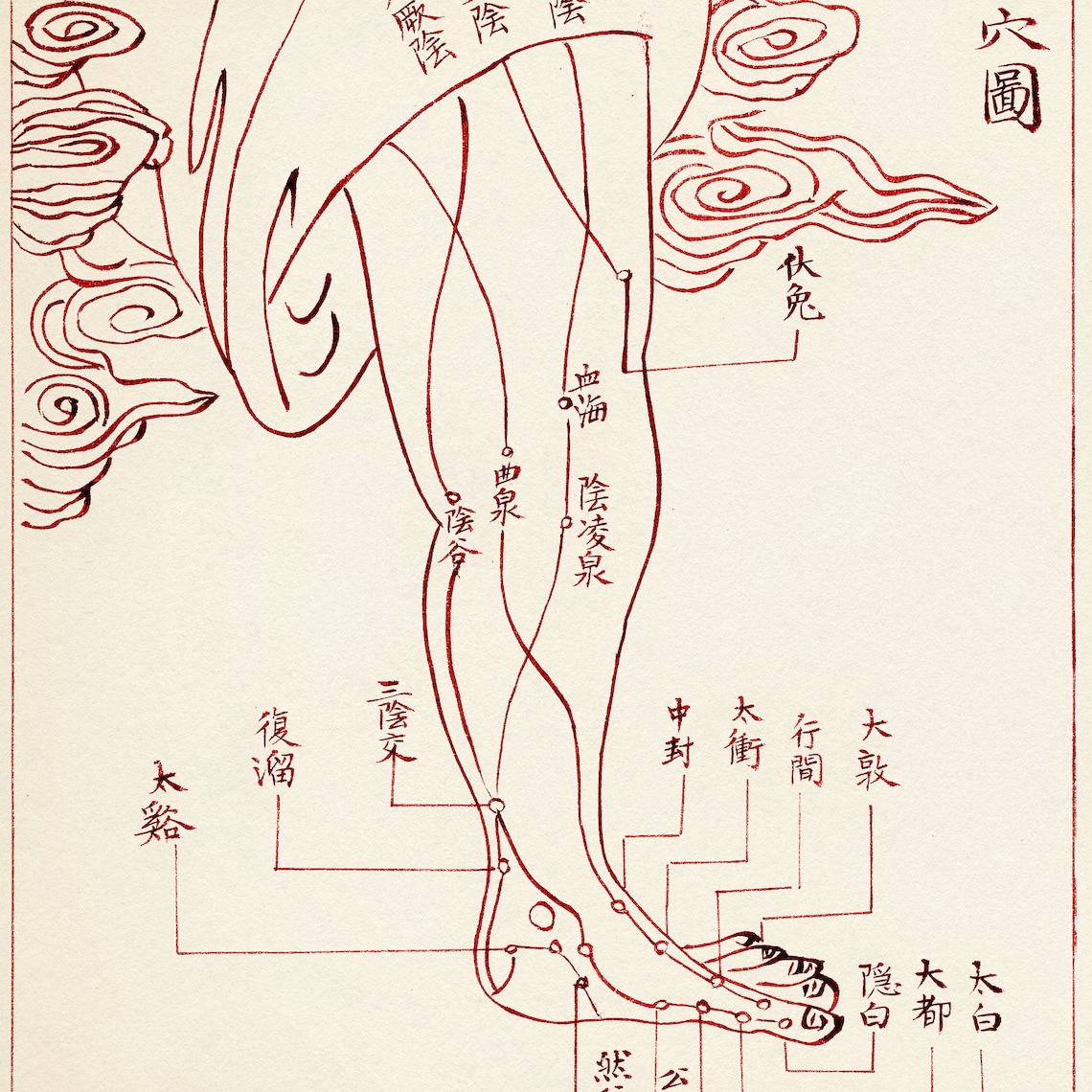 Acupuncture Points and Meridians Chart Acupuncture Office Etsy