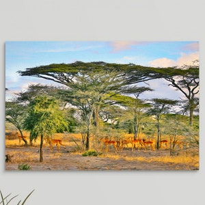 Africa landscape art, Africa Wall Art, Gazelles & Acacia Trees, Giraffes, African Art, Wildlife Safari Art, Framed/Unframed Canvas or Print