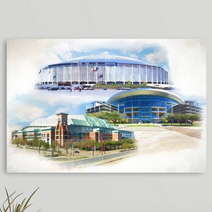 Astrodome, Houston Stadiums Painting Print, Minute Maid Park, NRG Stadium, Houston Astros, Houston Texans Fan, Framed/Unframed Canvas/Print