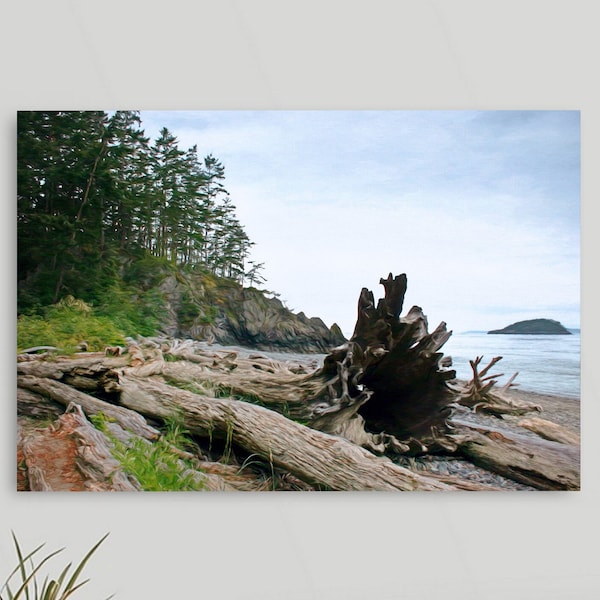 Deception Pass Driftwood, Whidbey Island, Pacific Northwest, Olympic Peninsula, Washington St, , Framed/Unframed Canvas or Print