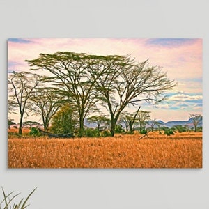 Sunset Serengetti, Africa landscape art, Africa Wall Art, Acacia Trees, African Art, Wildlife Safari Art, Framed/Unframed Canvas or Print