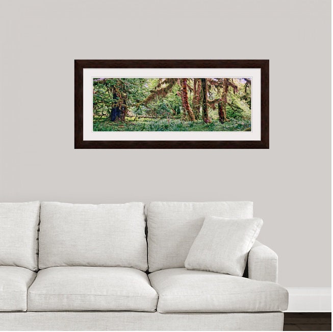 Hoh Rain Forest Panoramic Hall of Mosses Forks Washington - Etsy