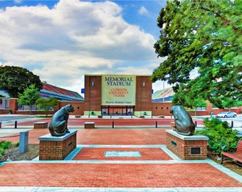 Clemson Memorial Stadium, Death Valley, Frank Howard Field, Clemson Tigers, Man Cave, Guy Boyfriend gift, Framed/Unframed Canvas or Print