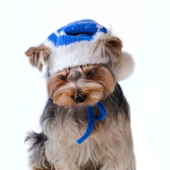 Dog Outfits