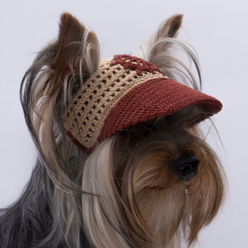 baseball caps for dogs
