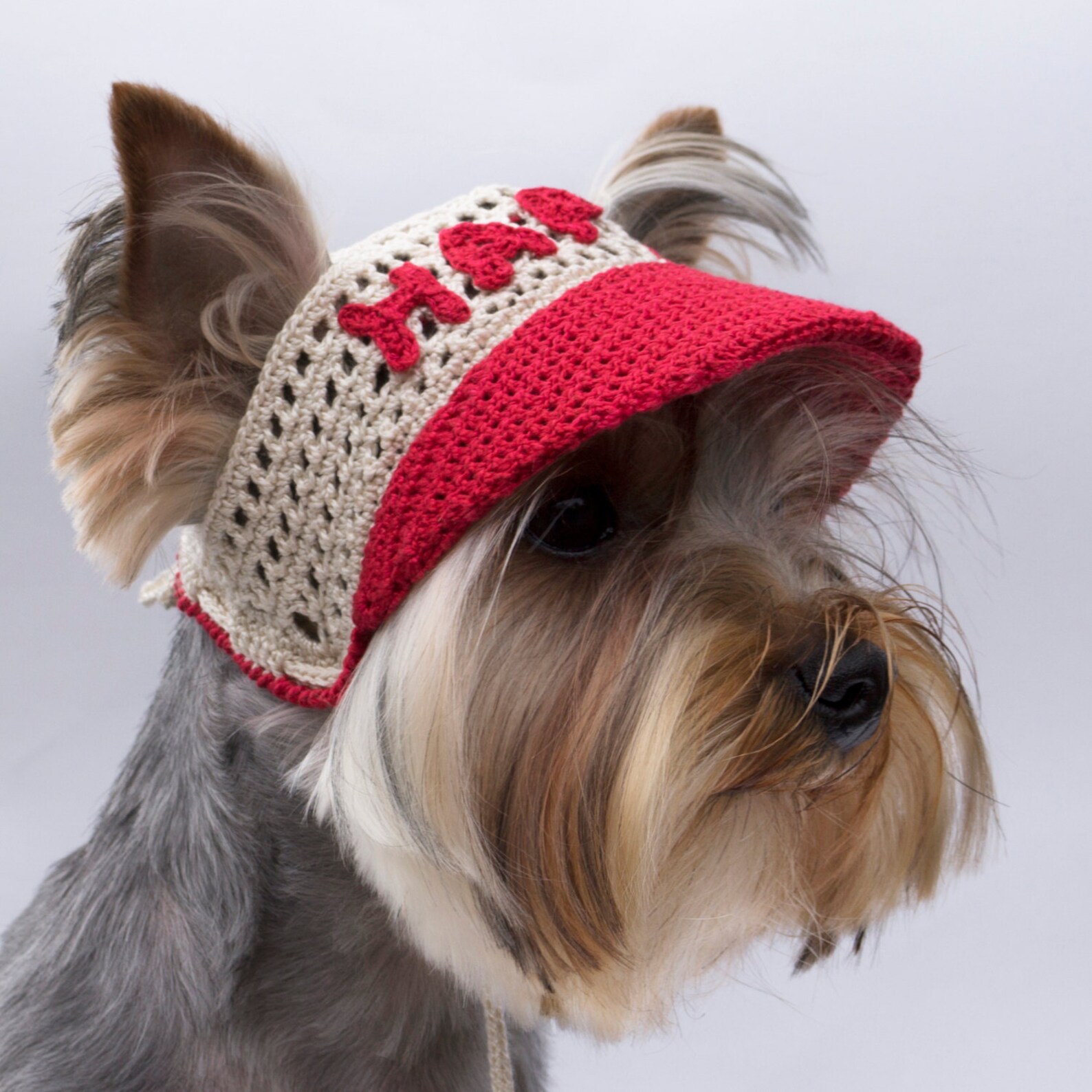 Dog's cap With Text/ Baseball Cap for dog/Visor Cap for Etsy