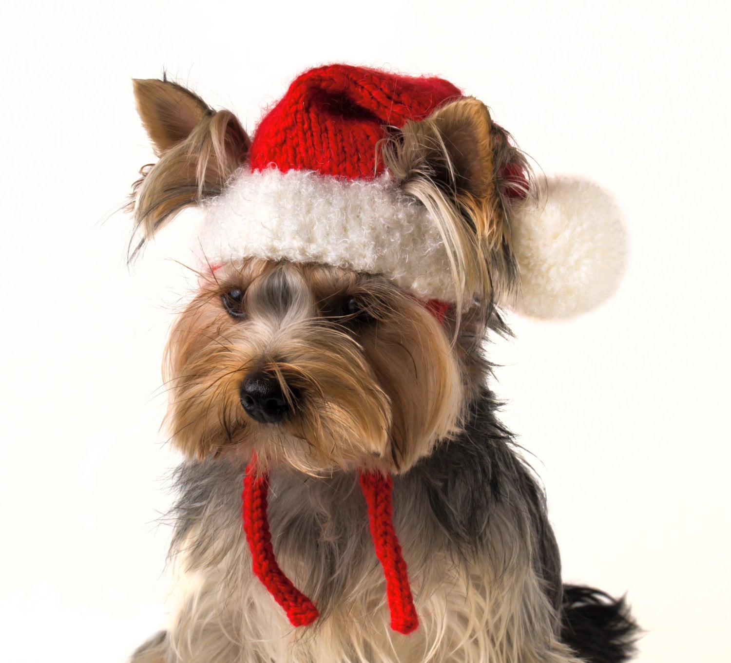 Knitted hat for dog Santa Christmas dog outfits Etsy