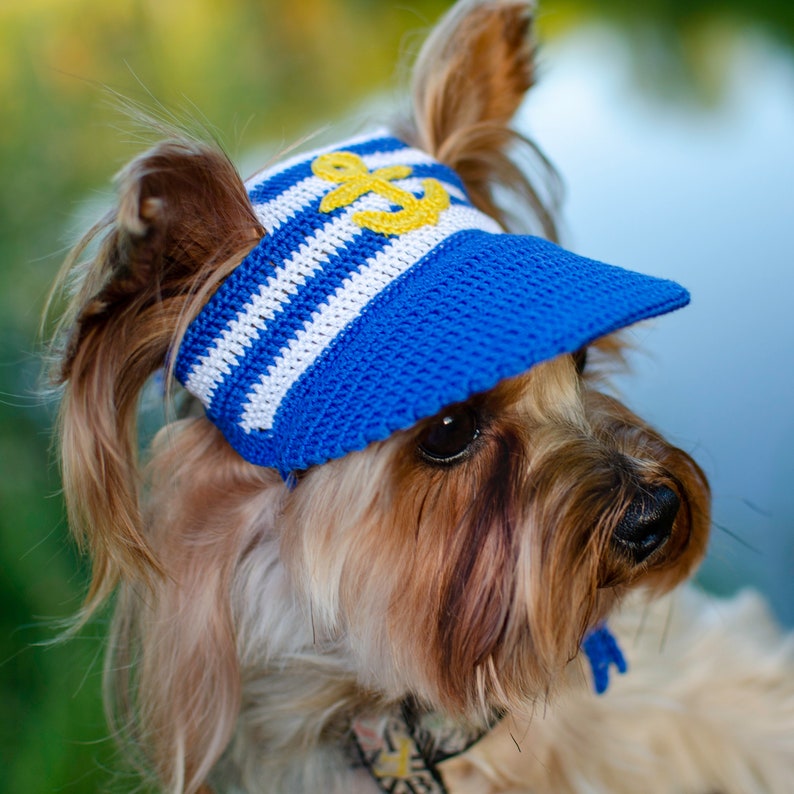 Dog's Baseball Cap Anchor / Hats For Dogs / Etsy