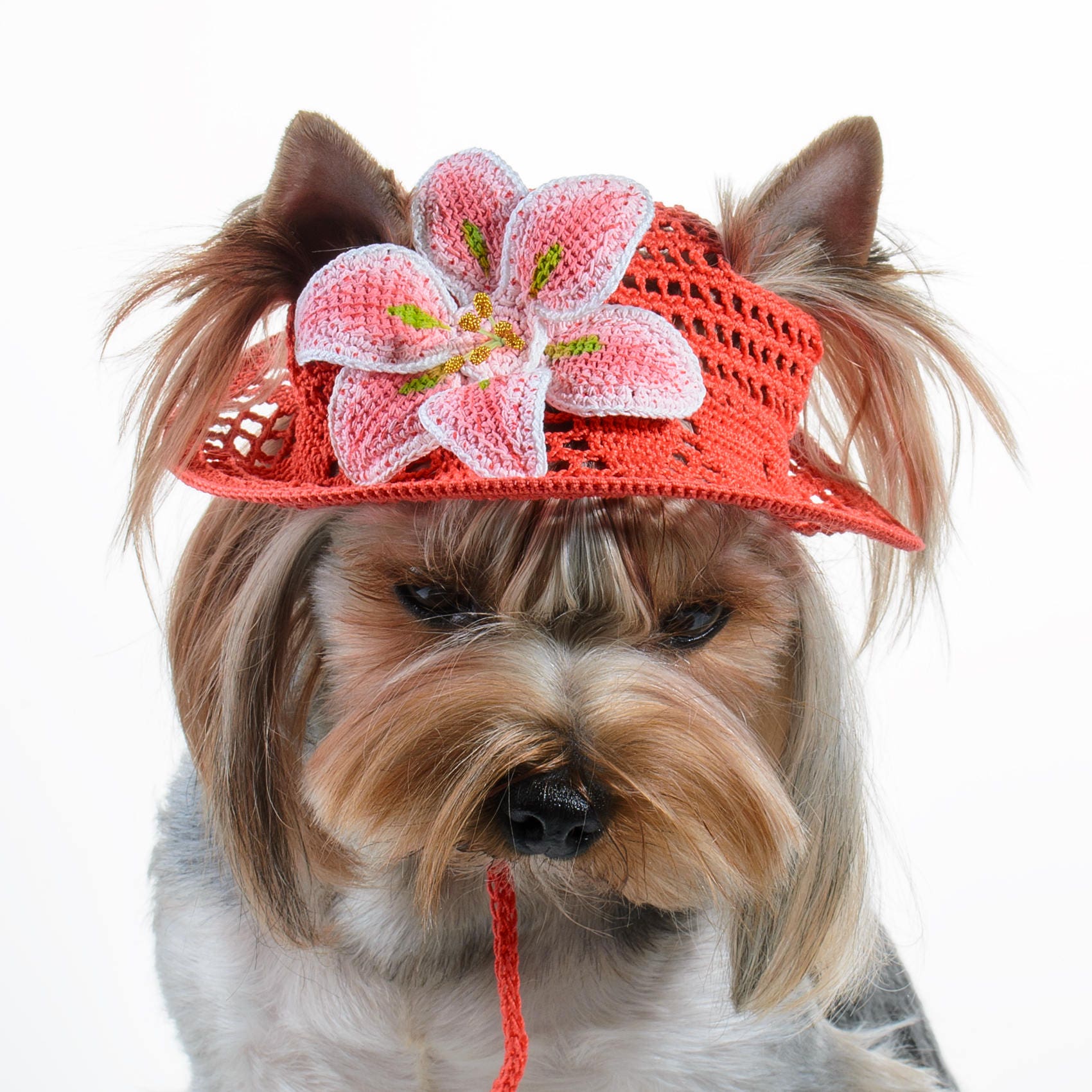 Hat for Dog Pet Hat Dog Party Hats Dog Cap Dog Sun Hats Puppy Etsy